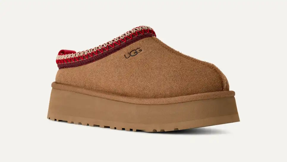 Tazz 2 « chestnut »