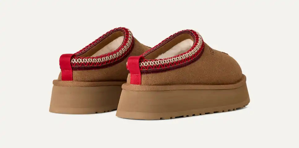 Tazz 2 « chestnut »