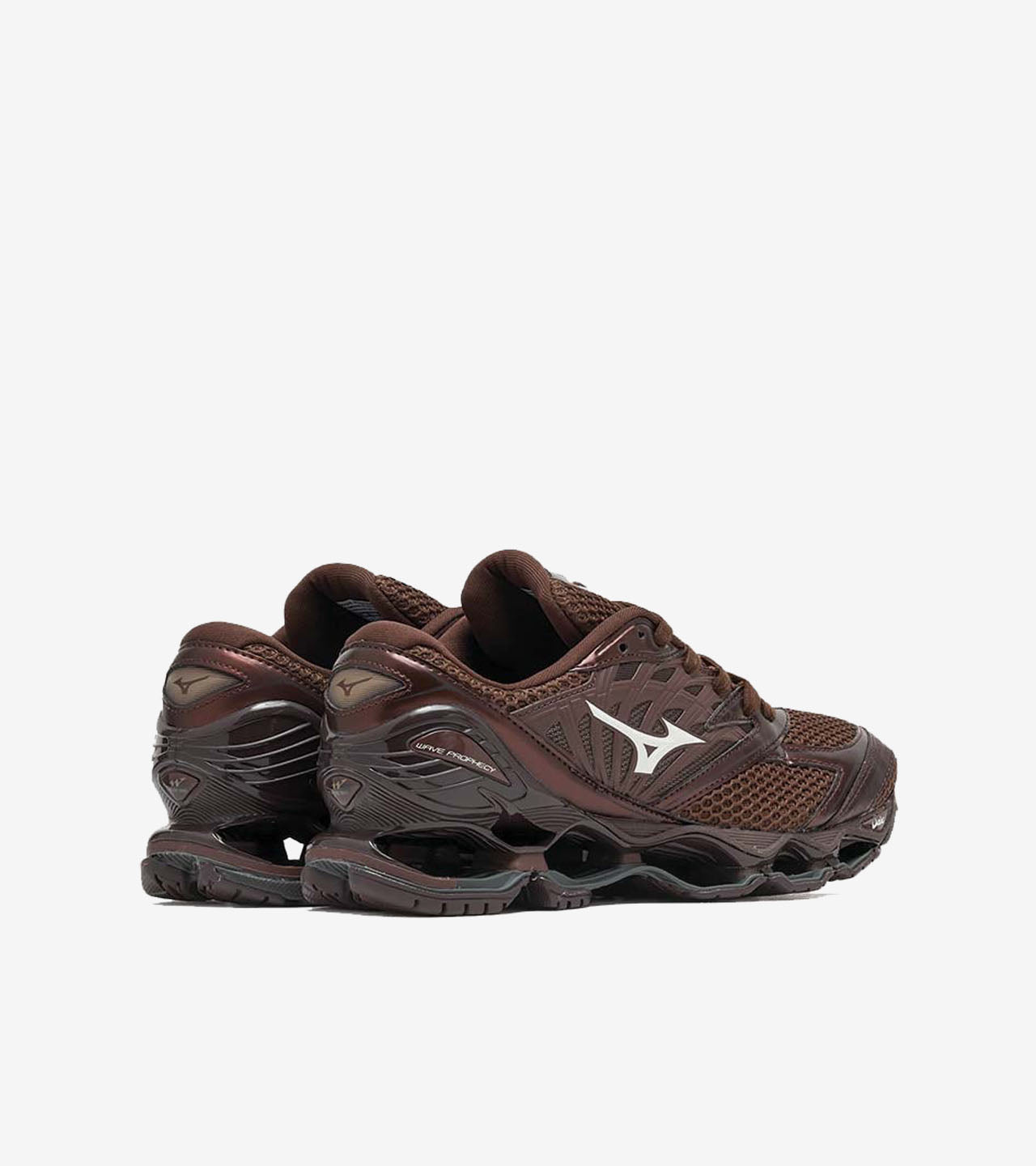 Mizuno Wave « Prophecy LS Chicory Coffee »
