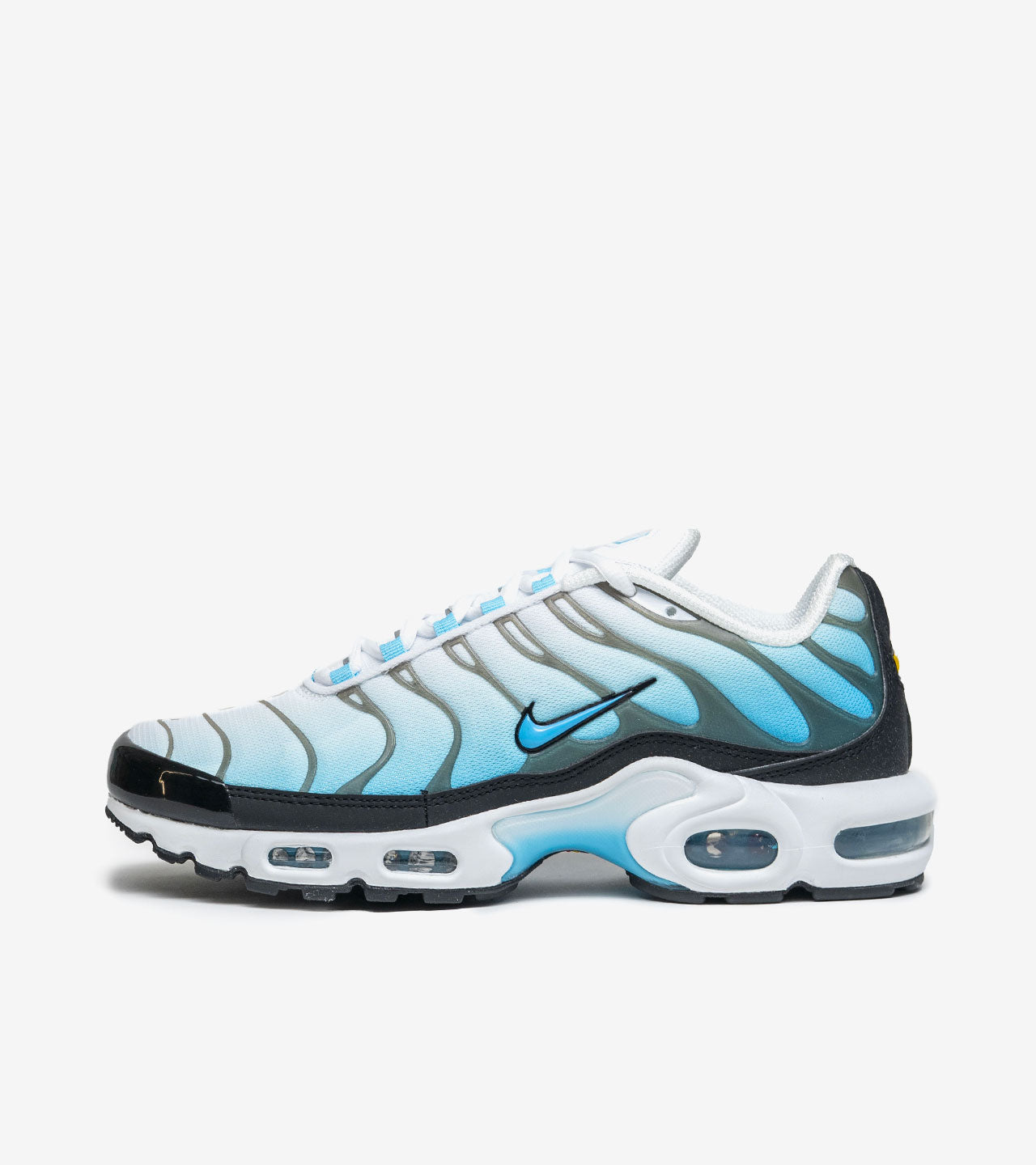 Nike Air Max « Plus Baltic Blue »