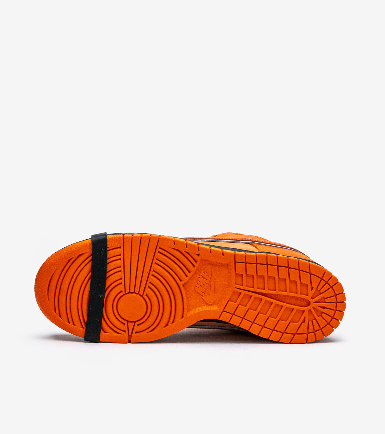 Nike SB « Dunk Low Concepts Orange Lobster »