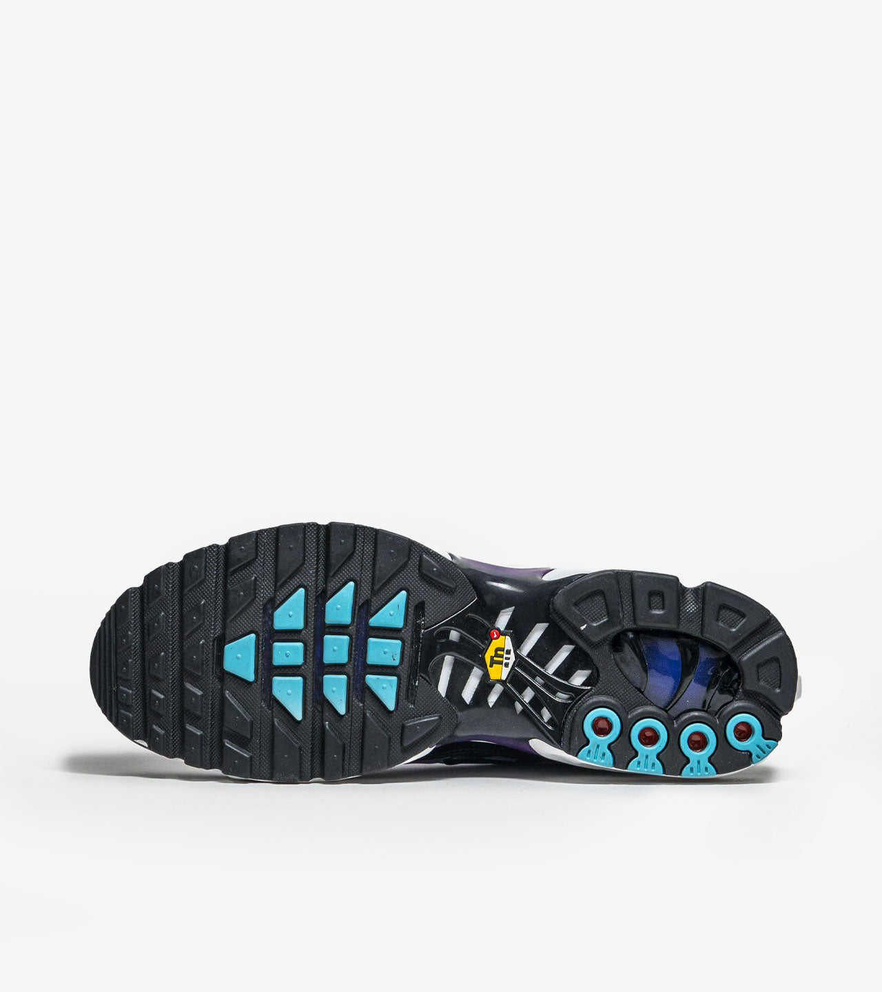 Nike Air Max « Plus Reverse Grape »