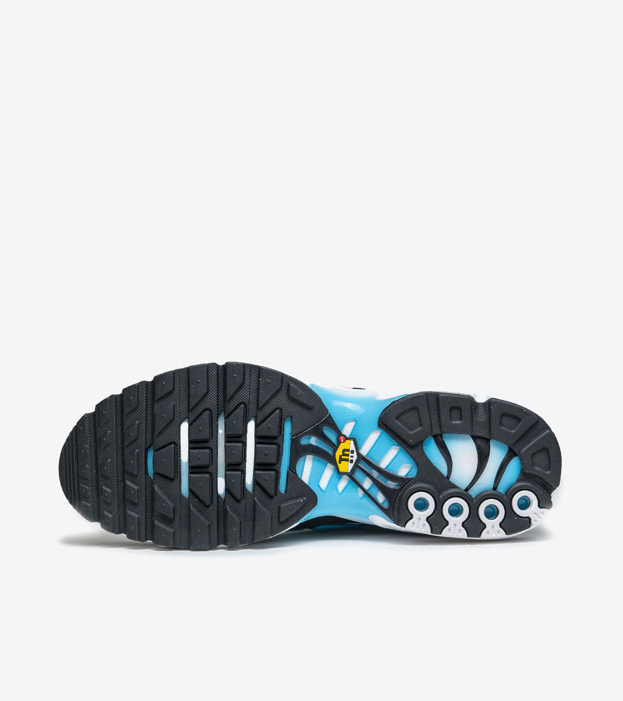 Nike Air Max « Plus Baltic Blue »